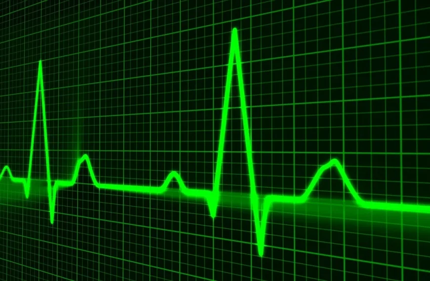 heart-rate-monitor